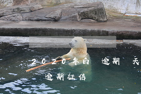 2020年白條逾期幾天上征信（2020白條逾期征信）