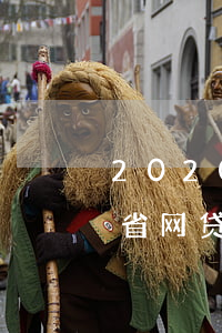 2020年的跨省网贷还用还款吗-现在跨省网贷是不是不用还了