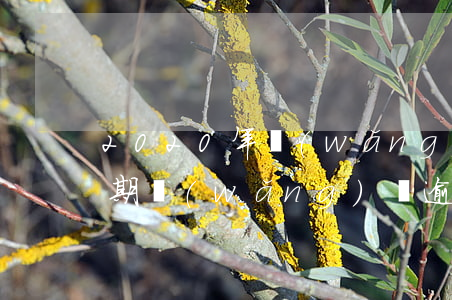 2020年網(wǎng)貸信用卡大量逾期 網(wǎng)貸逾期 信用卡