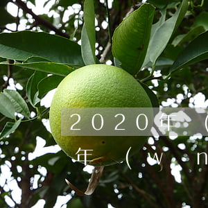 2020年網(wǎng)貸逾期(2020年網(wǎng)貸逾期的人到底有多少)
