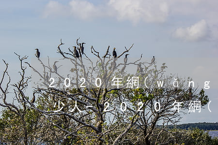 2020年網(wǎng)貸逾期全國有多少人-2020年網(wǎng)貸逾期全國有多少人員