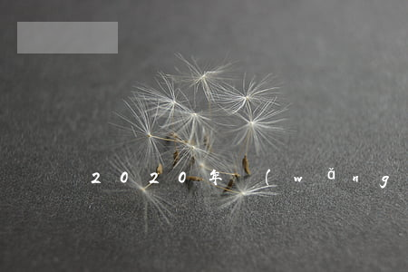 2020年網(wǎng)貸還不起