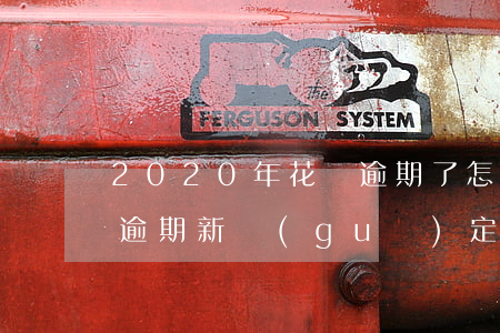 2020年花唄逾期了怎么辦(2020花唄逾期新規(guī)定12月份)