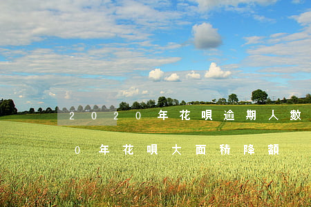 2020年花唄逾期人數(shù)(2020年花唄大面積降額)