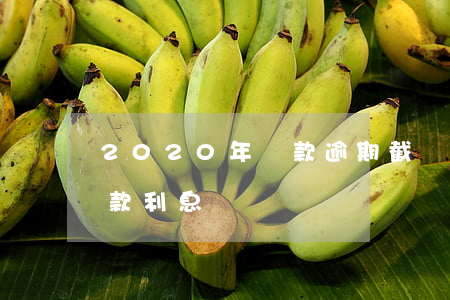 2020年貸款逾期截圖(2020年逾期貸款利息)