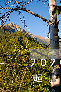 2020年貸款還不起(2020年貸款還不起)