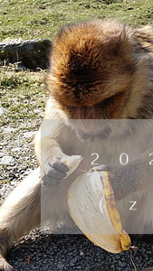 2020年輕傷二級賠償標(biāo)準(zhǔn)(2020年輕傷二級賠償多少錢)