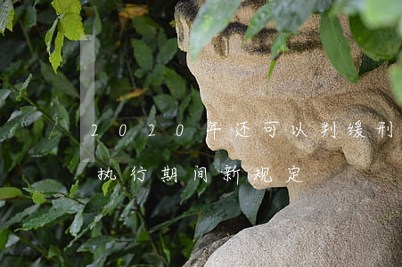 2020年还可以判缓刑吗(2020年缓刑执行期间新规定)