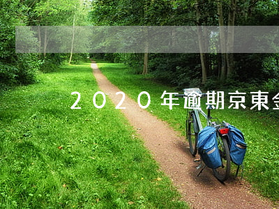 2020年逾期京東金融