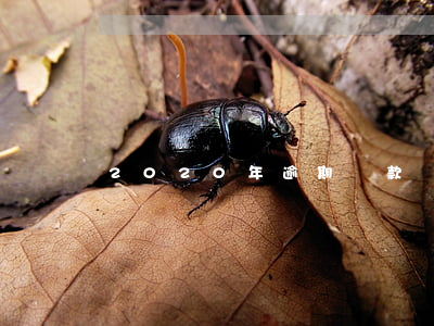 2020年逾期還款
