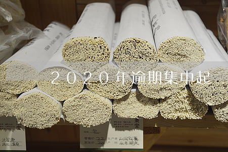 2020年逾期集中起訴