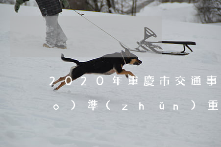 2020年重慶市交通事故賠償標(biāo)準(zhǔn)(重慶市2020交通事故損害賠償標(biāo)準(zhǔn))