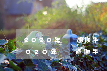 2020年閃銀逾期半個(gè)多月了，2020年閃銀逾期：半個(gè)多月的困擾