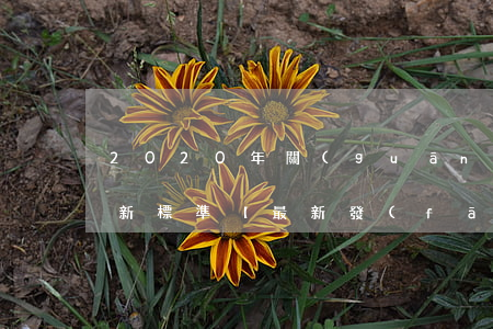 2020年關(guān)于信用卡逾期最新標準，【最新發(fā)布】2020年信用卡逾期標準詳解