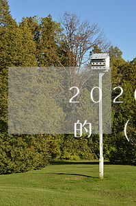 2020年關(guān)于民事訴訟時效的規(guī)定有哪些