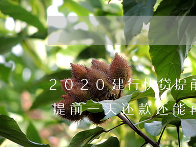 2020建行快贷提前9天还款-建行快贷提前一天还款还能再用吗