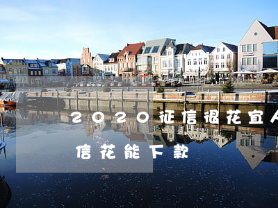 2020征信很花宜人貸下了6萬(宜人貸征信花能下款嗎)
