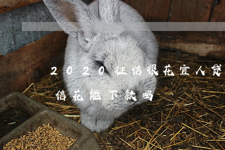 2020征信很花宜人贷下了6万(宜人贷征信花能下款吗)