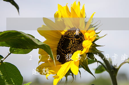 2020很多人信用卡逾期（信用卡大量人群逾期）