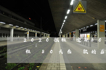 2020微粒貸逾期80天，逾期警示：警惕微粒貸80天未還款的后果！