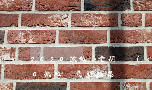 2020微粒貸逾期總數(shù)(2020微粒貸最新政策)