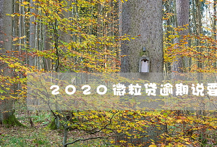 2020微粒贷逾期说要联系公司同事