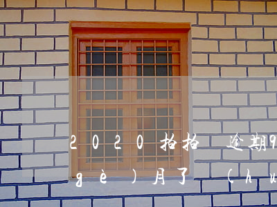 2020拍拍貸逾期9天(拍拍貸逾期三個(gè)月了會(huì)不會(huì)起訴我2020)