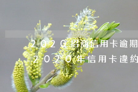2020招商信用卡逾期新法規(guī)(2020年信用卡違約)
