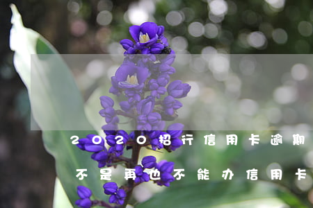 2020招行信用卡逾期贴吧(招行逾期过是不是再也不能办信用卡了)