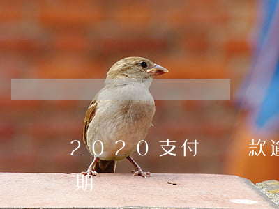 2020支付寶貸款逾期(2020年貸款逾期)