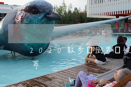 2020散步暈倒男嬰被盜,偷盜嬰兒判什么罪