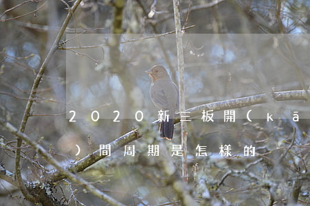 2020新三板開(kāi)戶時(shí)間周期是怎樣的