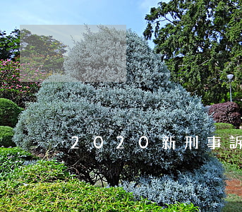 2020新刑事訴訟法司法解釋全文是什么