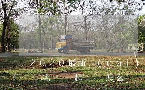 2020最新財(cái)產(chǎn)損害賠償起訴狀怎么寫