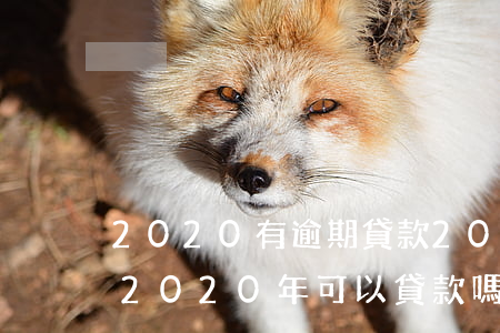 2020有逾期貸款(2017年信用卡逾期2020年可以貸款嗎)