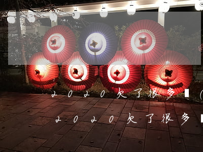 2020欠了很多網(wǎng)貸怎么辦(2020欠了很多網(wǎng)貸怎么辦?)