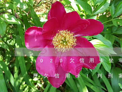 2020欠信用卡坐牢親身經(jīng)歷（欠信用卡1判刑案例）