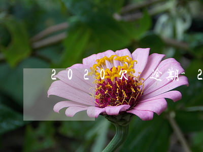 2020欠債逾期-2020年逾期