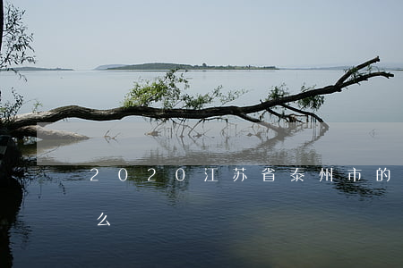 2020江苏省泰州市的国家赔偿标准是什么