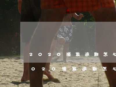 2020浦发逾期怎么协商个性化分期-2020浦发逾期怎么协商个性化分期呢