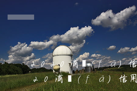 2020浦發(fā)信用卡逾期的人(2020浦發(fā)信用卡逾期的人多嗎)