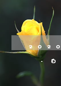 2020白條逾期15天會(huì)怎么樣-白條逾期15天嚴(yán)重嗎