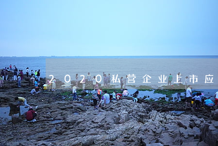 2020私营企业上市应该注意什么