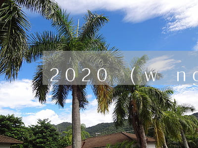2020網(wǎng)貸大量逾期