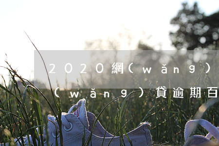 2020網(wǎng)貸逾期 2020網(wǎng)貸逾期百度貼吧