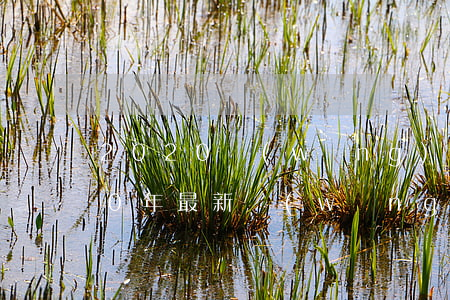 2020網(wǎng)貸逾期名單(2020年最新網(wǎng)貸逾期)