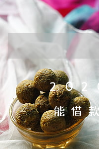 2020網(wǎng)貸逾期政策(逾期也能借款的網(wǎng)貸2020)