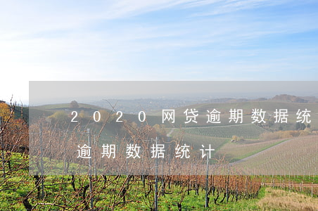 2020网贷逾期数据统计-2020网贷逾期数据统计