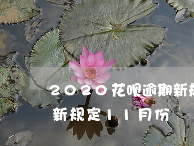 2020花呗逾期新规定(2020花呗逾期新规定11月份)