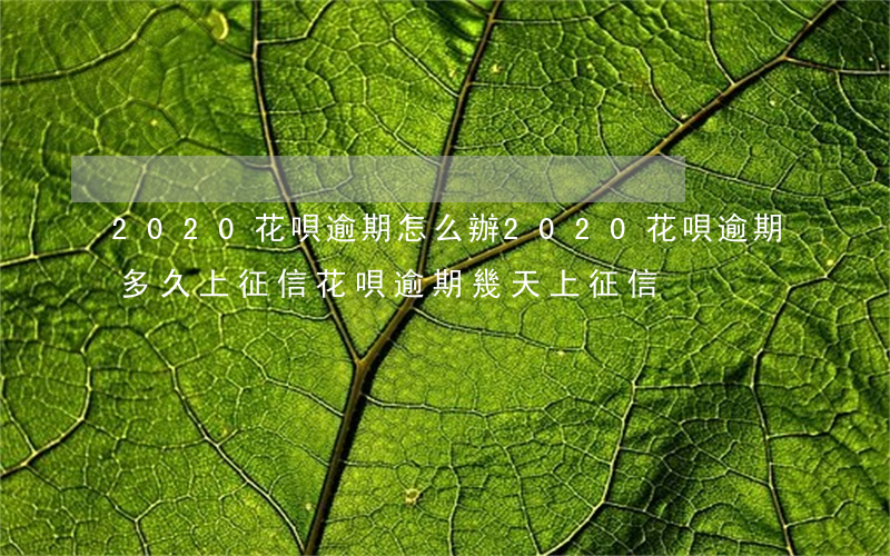 2020花唄逾期怎么辦(2020花唄逾期多久上征信?花唄逾期幾天上征信)